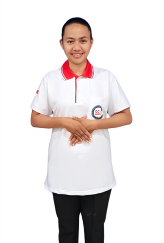 Maid Image